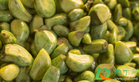 腊八蒜是不是一年四季都能腌制(腊八蒜什么时候都可以腌吗)