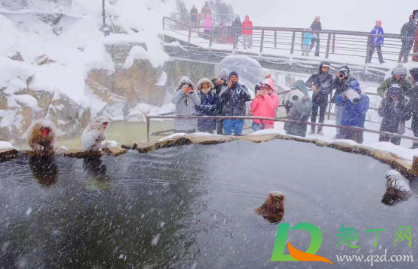 冻伤起水泡怎么处理(冻伤起水泡怎么处理还痒)