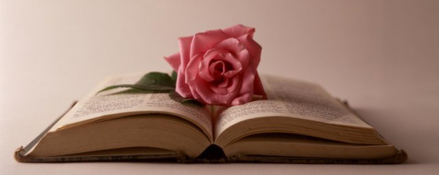 这些句子祝福感觉满满(满满的祝福的意思)