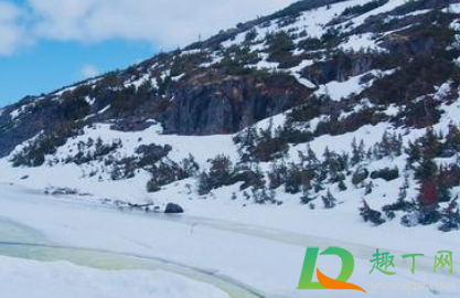 冻伤起水泡怎么处理(冻伤起水泡怎么处理还痒)