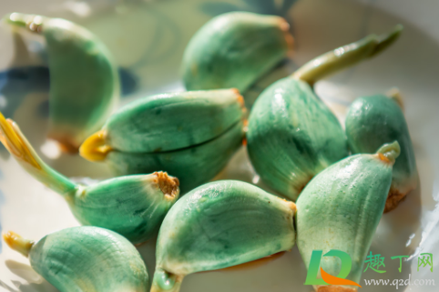 腊八蒜是不是一年四季都能腌制(腊八蒜什么时候都可以腌吗)