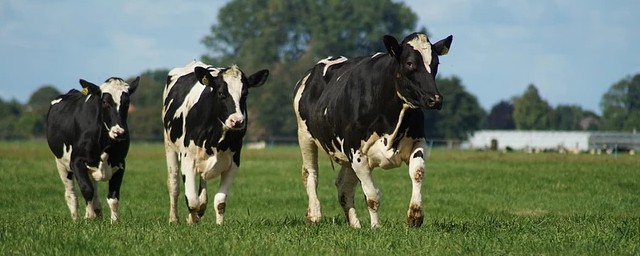 这些小常识你知道几个(小满科普小知识)