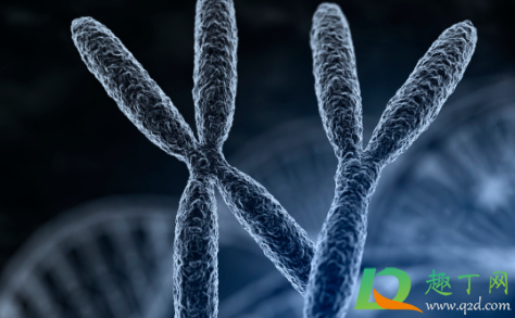 100%准确测试男孩女孩公式 100%准确测试男孩女孩公式