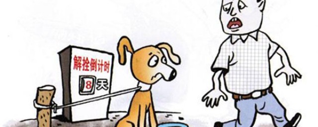 主要指狂犬病发病周期为10天(狂犬病的发病周期是多久)