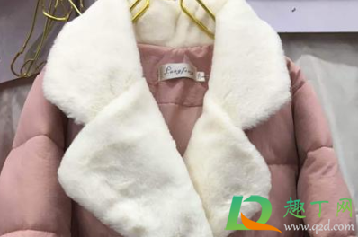 兔毛领可以水洗吗(兔毛毛领怎么洗) 兔毛领可以水洗吗(兔毛毛领怎么洗)