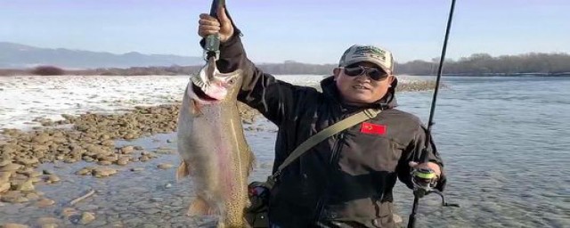 钓鱼泡饵料用的曲酒是什么(钓鱼一般用什么曲酒)