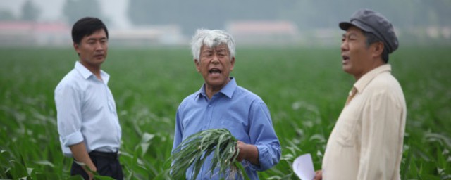 全剧主要讲述的什么故事(电视剧的故事梗概)