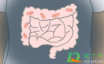 肚子里每天咕咕响气好多怎么办(肚子里有气一直咕咕叫怎么办) 肚子里每天咕咕响气好多怎么办(肚子里有气一直咕咕叫怎么办)