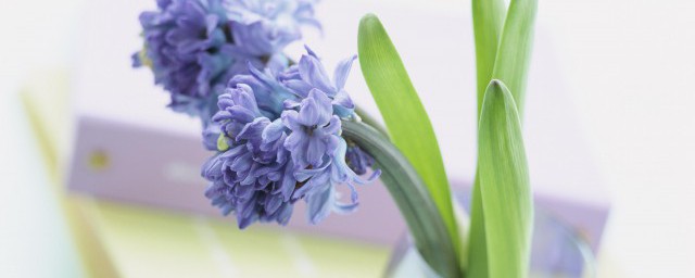 人生在世总是感悟颇多(人生很多感概)