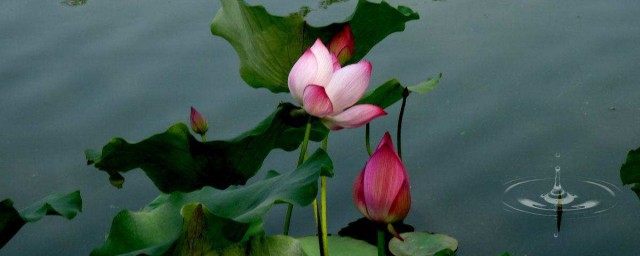 推荐以下十首诗(推荐这首诗)