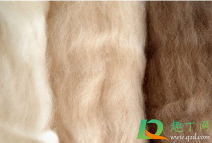 如何检测羊绒真假(羊绒衫怎么辨别真假) 如何检测羊绒真假(羊绒衫怎么辨别真假)