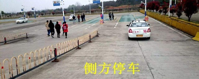 教你正确停车(停车怎么停车)