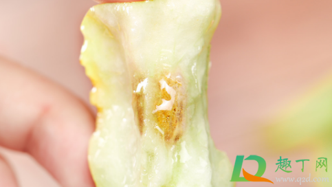 误吞枣核能催吐吗(吞了一个枇杷核要催吐吗) 误吞枣核能催吐吗(吞了一个枇杷核要催吐吗)