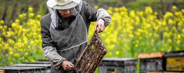 遵循如下五点(遵守的五条原则是)