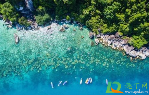 2021年春节可以出国旅行吗(2021年春节期间可以出去旅游吗)