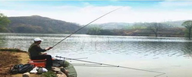 东南风钓鱼好不好(东东南风钓鱼好吗)