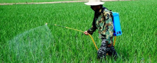 除草剂喷多久不怕下雨(除草剂喷洒多久下雨没事)