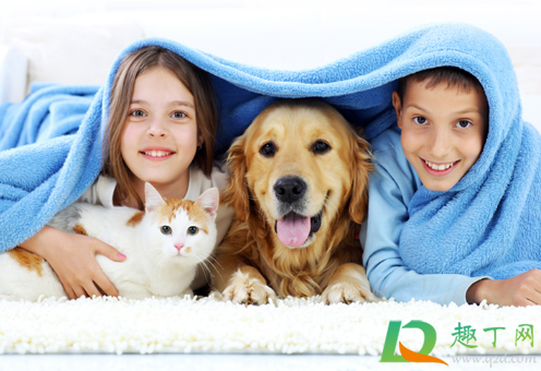 市面上的除甲醛喷雾有用吗(甲醛喷雾器 有用吗)