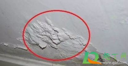 墙皮起泡怎么自己修补(墙面起泡脱皮处理妙招) 墙皮起泡怎么自己修补(墙面起泡脱皮处理妙招)