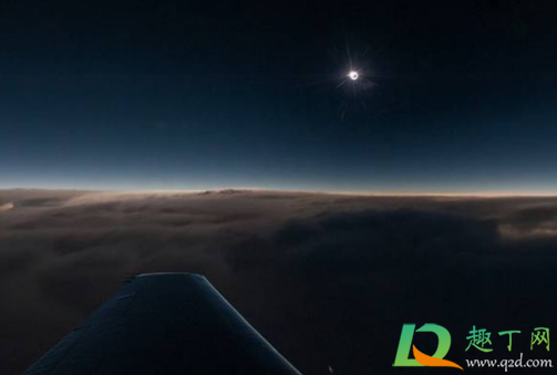 飞机上能带有土的植物不(飞机上能带带土的植物吗) 飞机上能带有土的植物不(飞机上能带带土的植物吗)