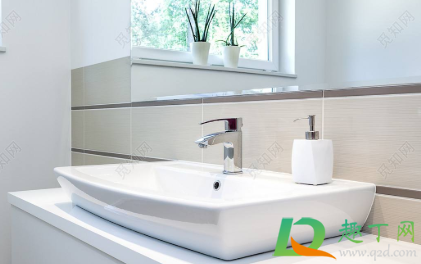 洗手台会跳的小黑虫哪里来的(洗手台有会跳的小虫子)