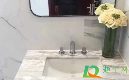 洗手台会跳的小黑虫哪里来的(洗手台有会跳的小虫子)