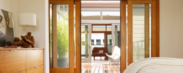 有什么功效(石斛有什么功效)