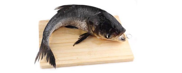 这样钓很成功(钓鱼真的有技巧吗)