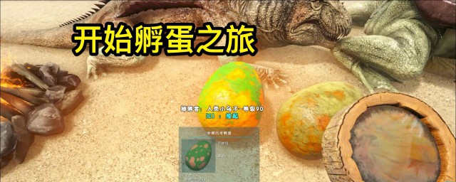 方舟生存进化龙蛋孵化技巧(方舟生存进化如何孵龙蛋)