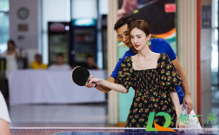 张继科金晨在拍什么综艺节目(张继科金晨参加的综艺节目)