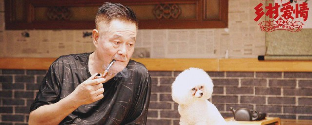 乡村爱情12剧情简介(乡村爱情11剧情介绍)