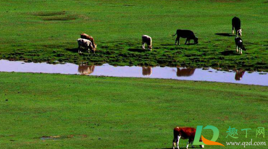 11月去内蒙古玩要带棉服吗(11月去内蒙古穿什么衣服)