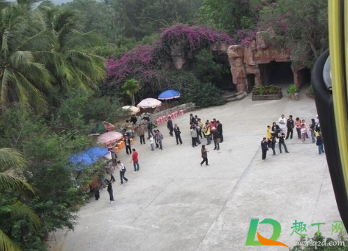 2021年1月20日日子好吗(2021年1月20日适合什么) 2021年1月20日日子好吗(2021年1月20日适合什么)