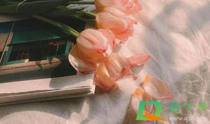 很现实的人生感悟说说致自己(很现实的人生感悟说说短句子)