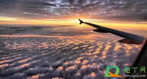 飞机上能带有土的植物不(飞机上能带带土的植物吗) 飞机上能带有土的植物不(飞机上能带带土的植物吗)