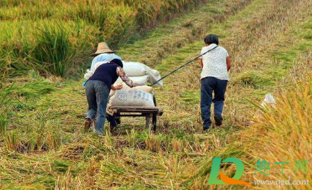 务农时用毛巾缠住脖子的原理(农民干活脖子上围毛巾)