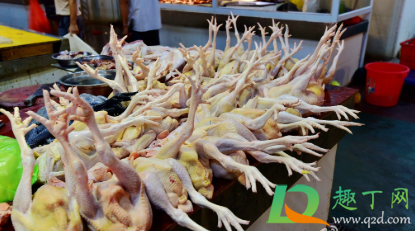 超市的冰鲜鸡能不能买(冰鲜鸡可以冷冻吗)