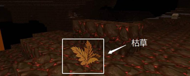 种植蘑菇的方法介绍(怎样种植蘑菇)