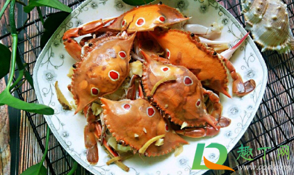 螃蟹不能和什么一起吃会相克(螃蟹不能和什么一起不能吃)