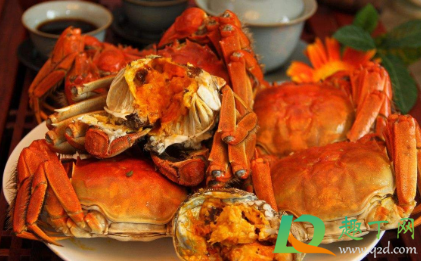 螃蟹不能和什么一起吃会相克(螃蟹不能和什么一起不能吃)