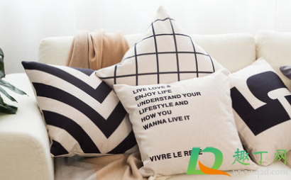 抱枕可以拆洗吗(不能拆开的抱枕怎么洗)