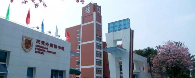 初中报名需要带上什么东西(初中报名要带什么东西去?)