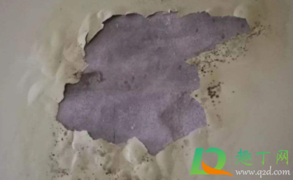 墙皮起泡怎么自己修补(墙面起泡脱皮处理妙招) 墙皮起泡怎么自己修补(墙面起泡脱皮处理妙招)