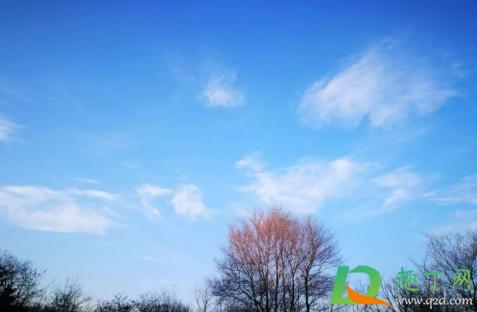 2021年腊月初八在几九里(2021年腊月初一是几九的第几天)