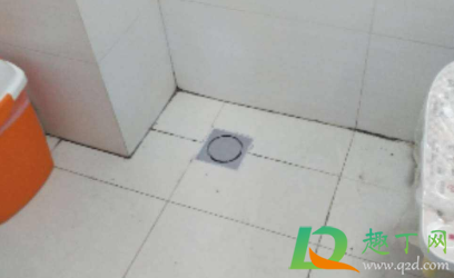 地漏反味怎么用什么方法(地漏反味怎么更换地漏)