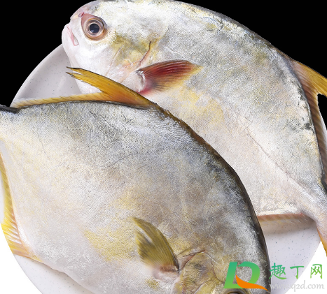 冷冻鲳鱼检出新冠是真的吗(买到假鲳鱼了) 冷冻鲳鱼检出新冠是真的吗(买到假鲳鱼了)