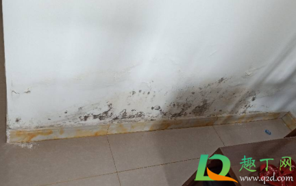怎么能看出房子返潮还是漏水(漏水还是返潮图片)