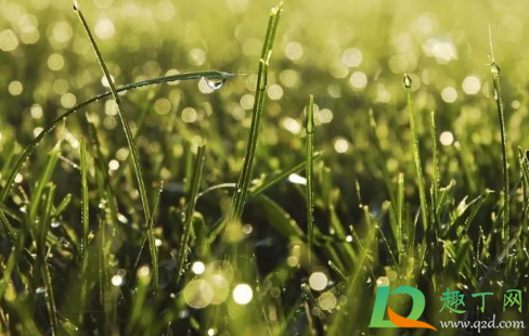 2021立春后天气还要冷多久(2021年立春的天气温度)