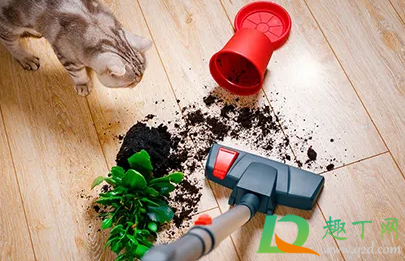 吸尘器吸不进去东西怎么办(吸尘器吸不上来东西怎么回事)