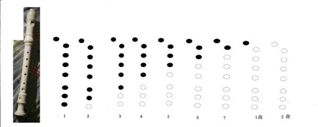 八孔竖笛的指法学习(竖笛指法八孔竖笛指法教程)